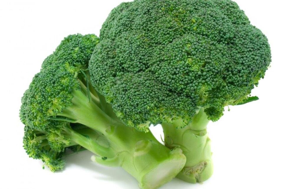 broccoli1